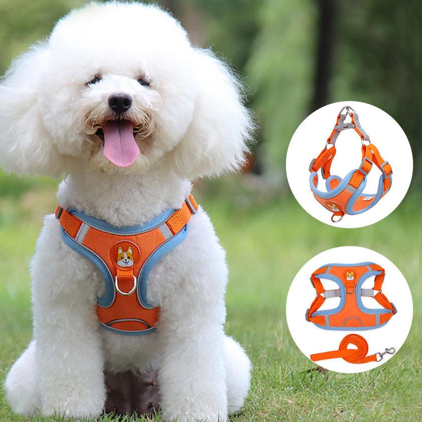 Dog Harness West