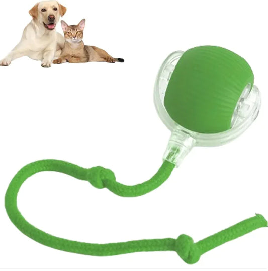 Smart Pet Rolling Ball
