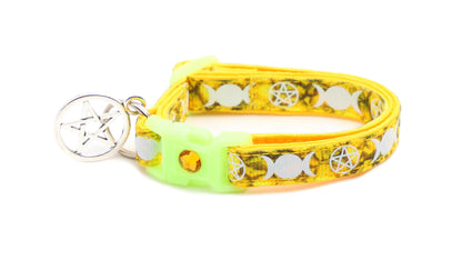 Witch's Familiar on Topaz Cat Collar-1